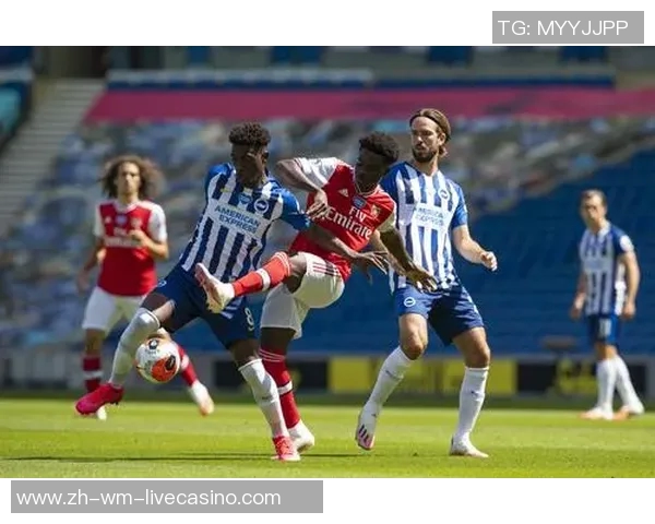 布莱顿足球俱乐部:崛起之路与未来展望的精彩旅程