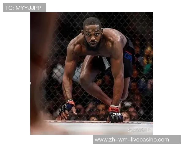 UFC大布与锤子激战在即谁将成为八角笼的新王者